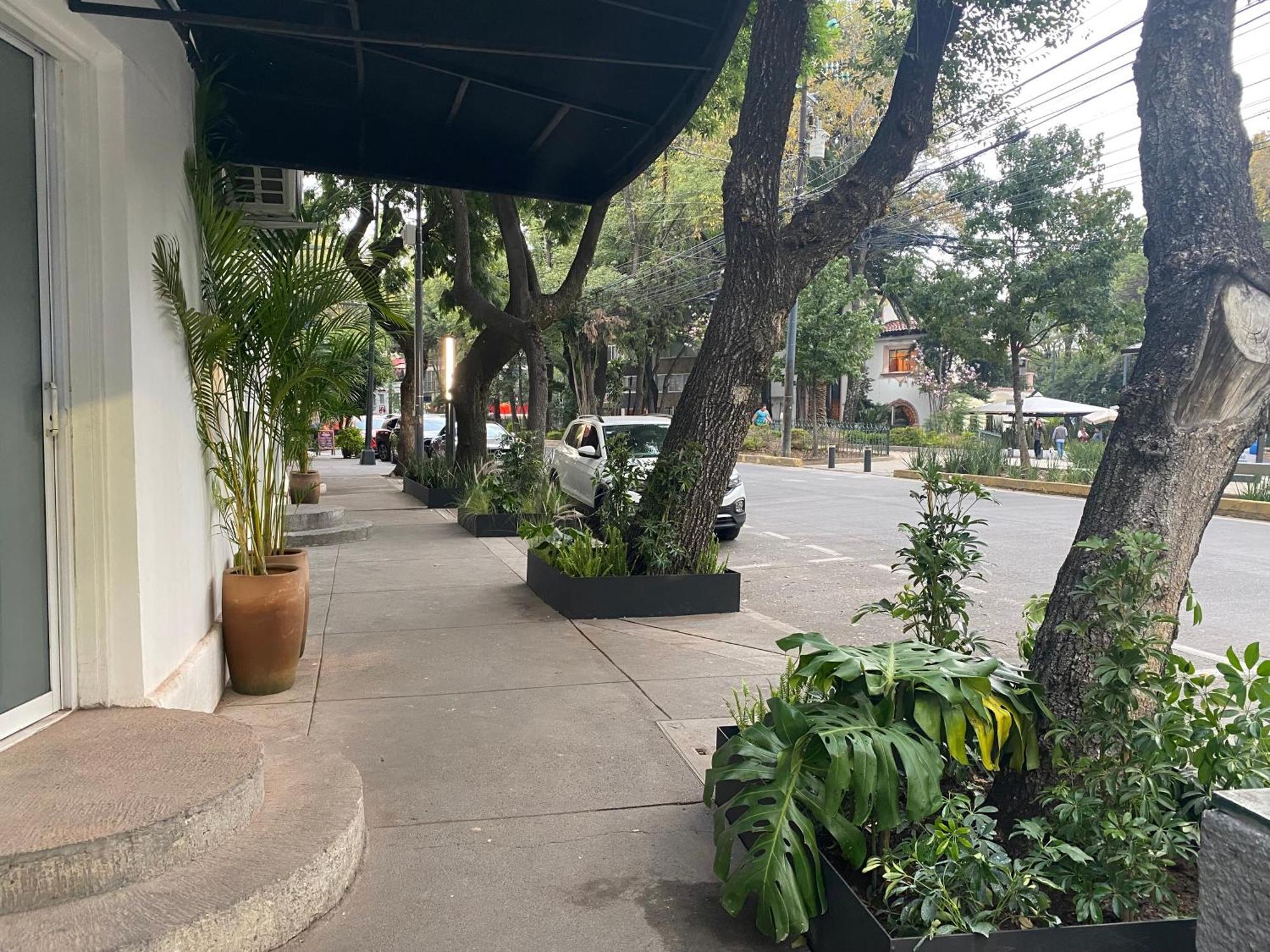Casa Corp Boutique Suites In Condesa メキシコシティ エクステリア 写真